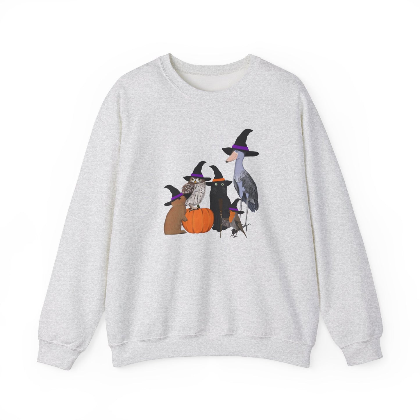 Shoebill, Robin and Owl Sweatshirt – Animal Lover Gift, Avian Enthusiast