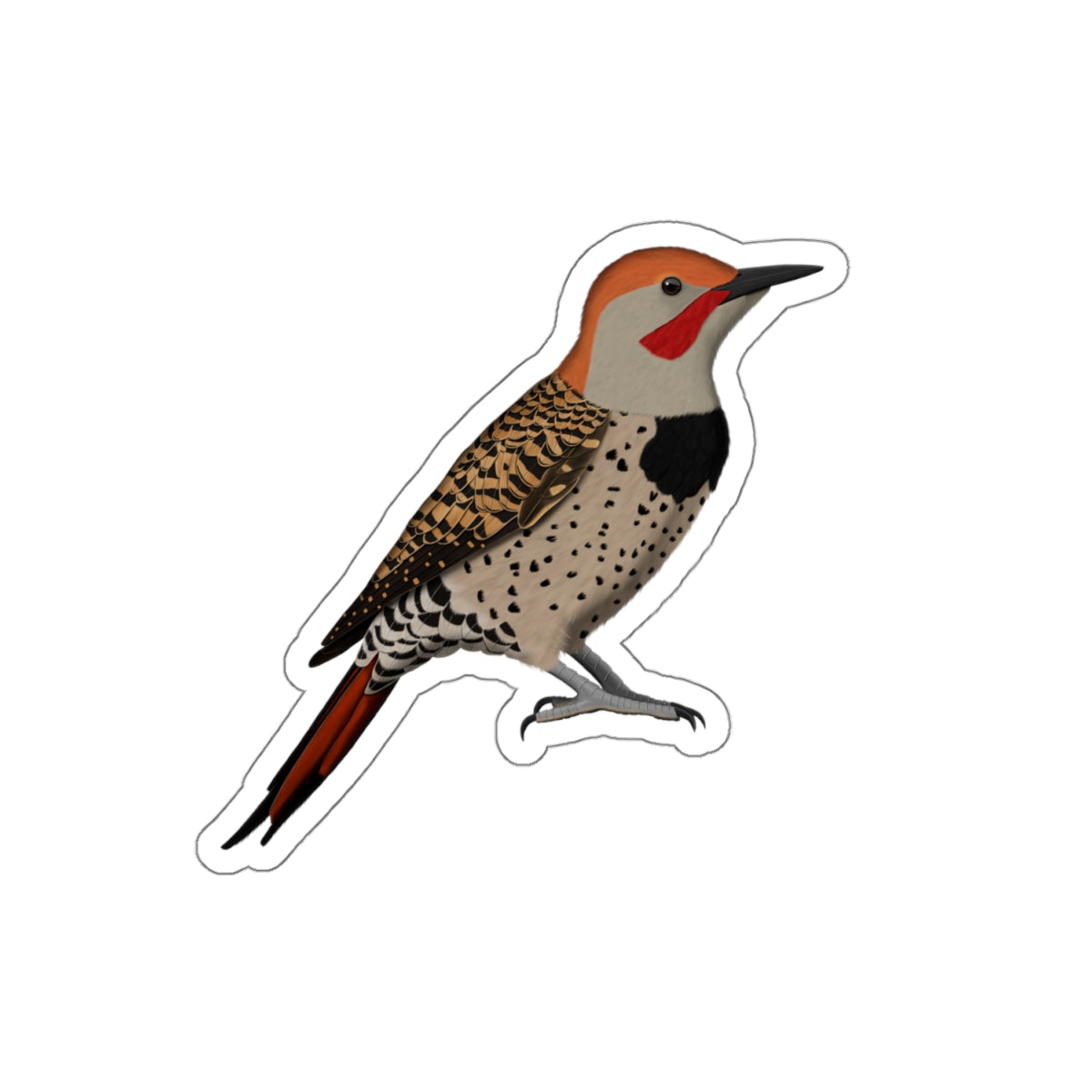 Northern Flicker Bird Kiss-Cut Sticker
