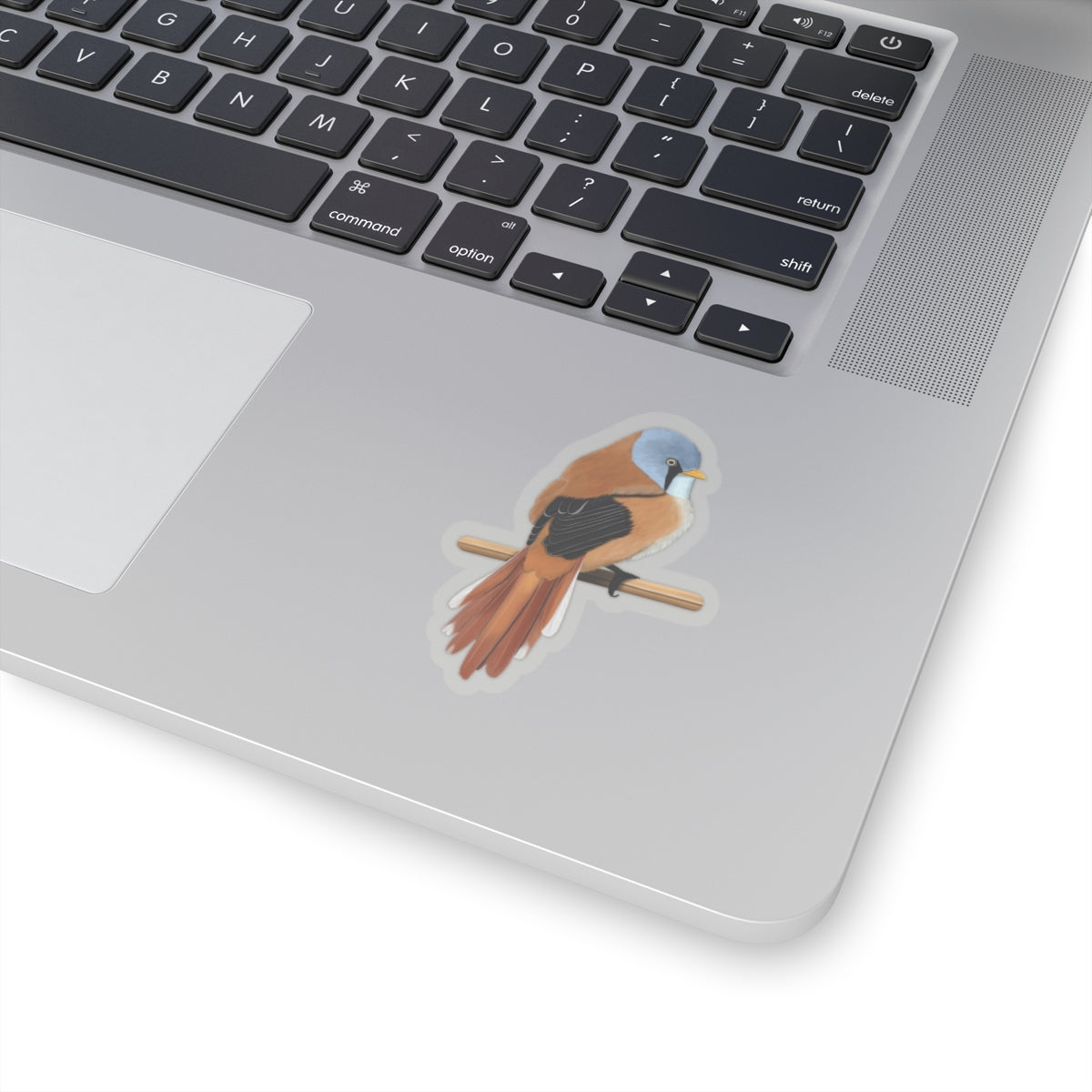 Bearded Reedling Bird Kiss-Cut Sticker - jz.birds