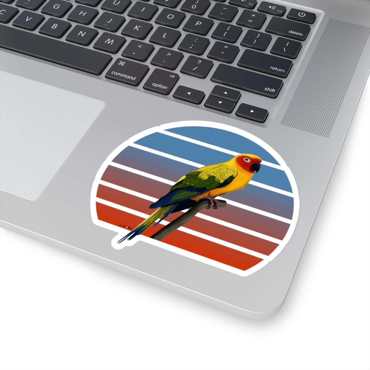 Sun Conure Bird Sticker – Home & Living, Paper products