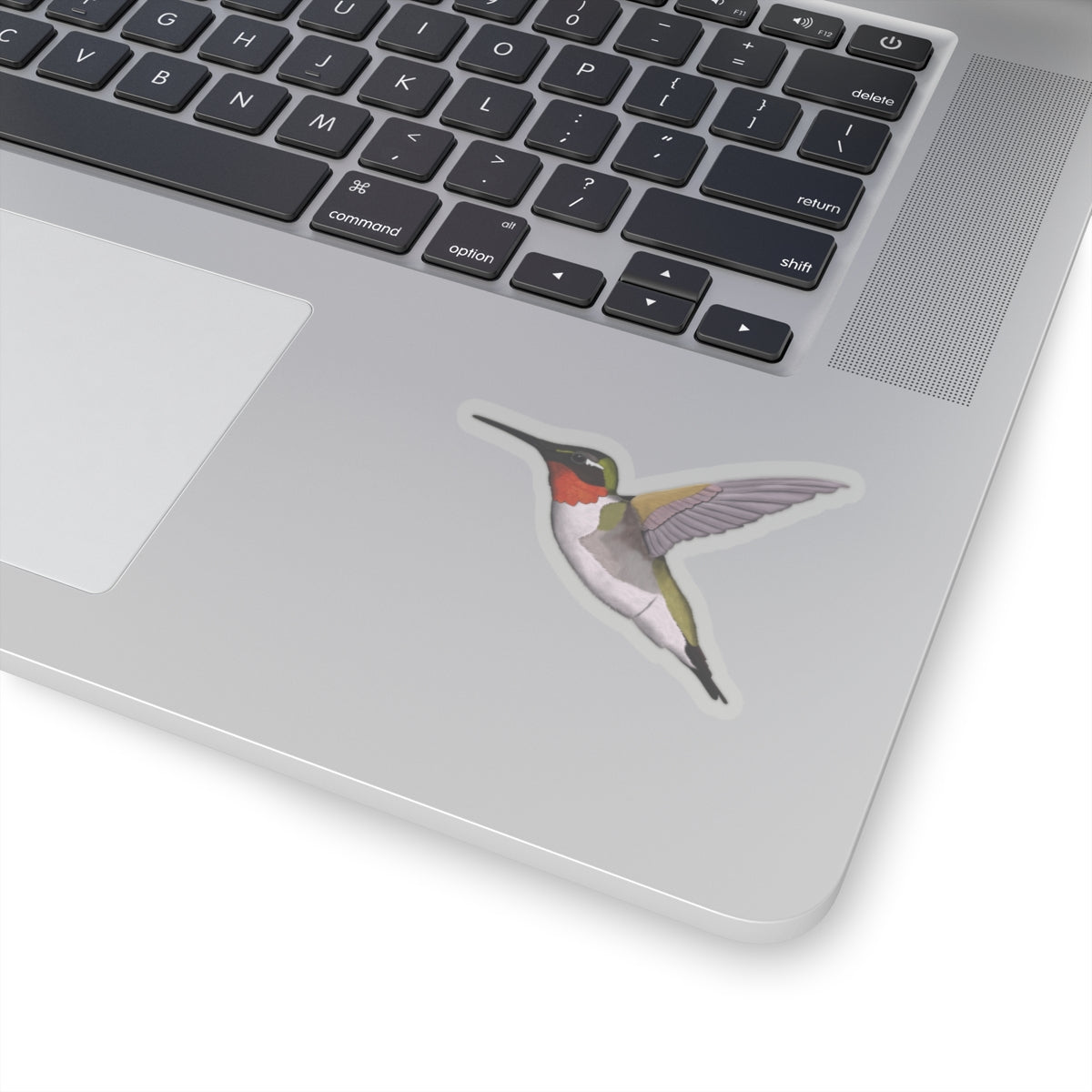 Hummingbird Bird Kiss-Cut Sticker - jz.birds