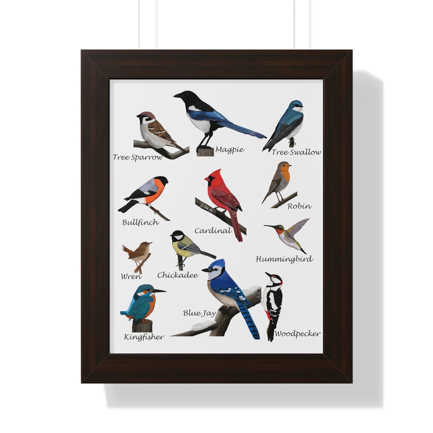 Garden Birds Blue Jay Cardinal Bullfinch Chickadee Framed Poster