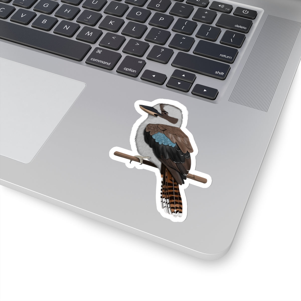 Kookaburra Bird Kiss-Cut Sticker - jz.birds