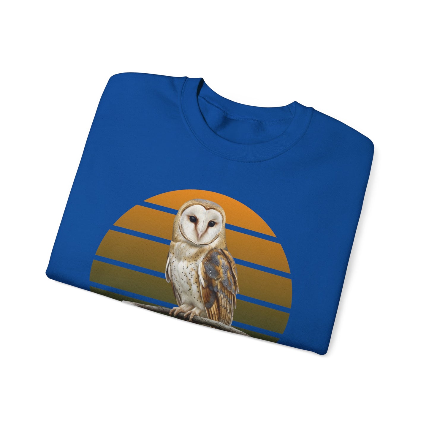 Barn Owl Sweatshirt | Bird Watcher Crewneck | Unisex Songbird Gift for Bird Lovers