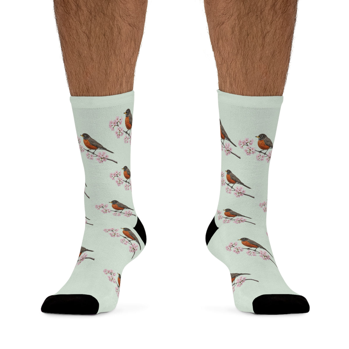 American Robin Socks – & Cherry Blossom Sage Green | Birdwatching Apparel