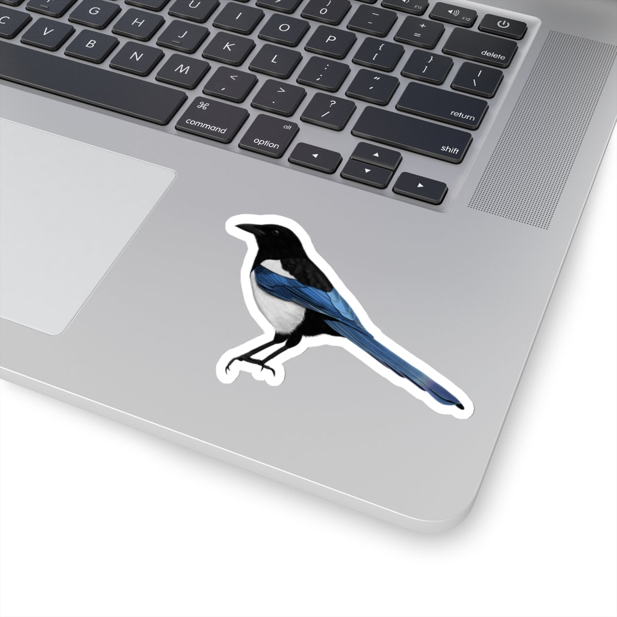Magpie Bird Kiss-Cut Sticker - jz.birds