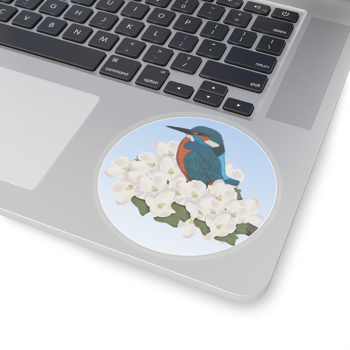 Kingfisher Spring Apple Blossoms Bird Sticker