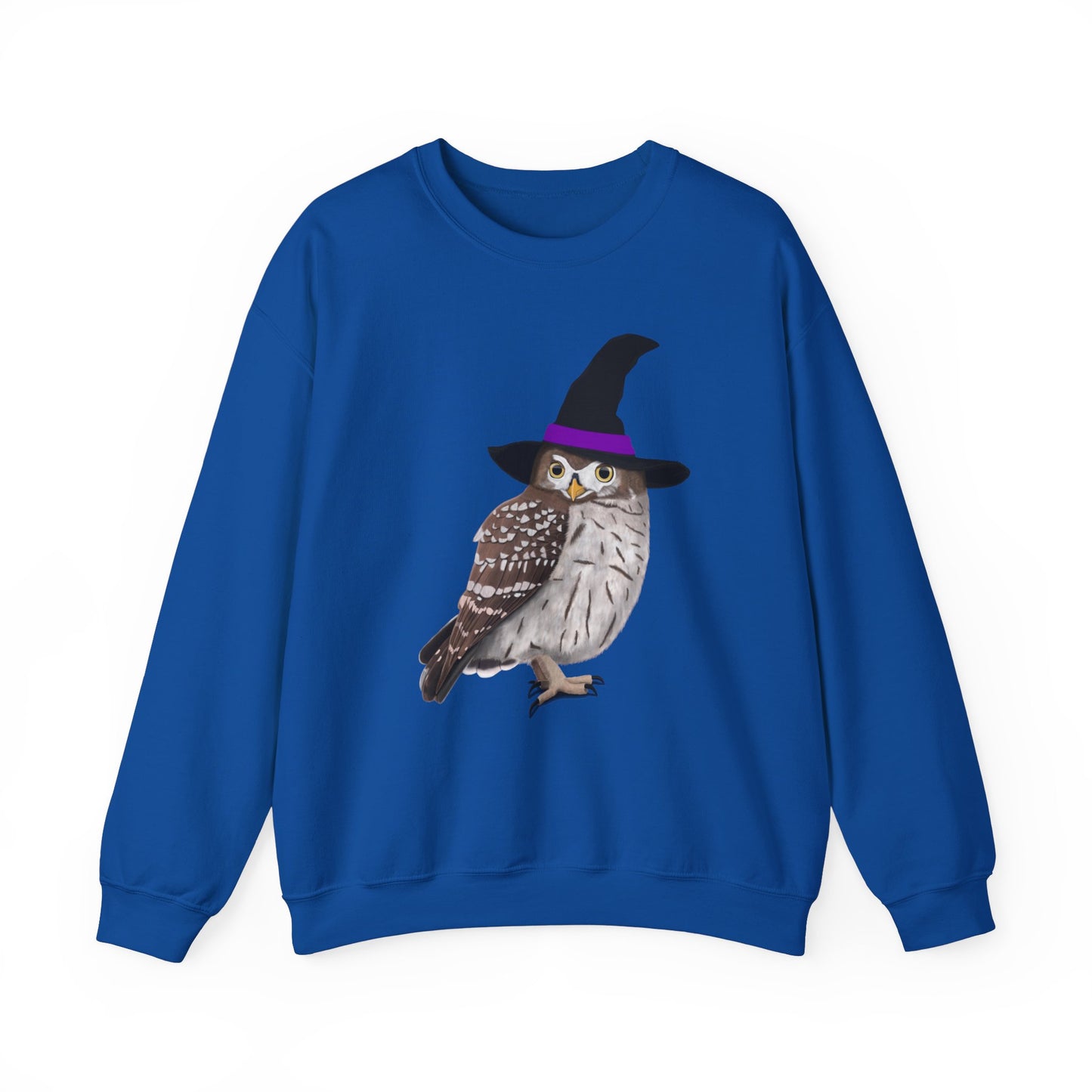 Owl Halloween Witch Birdwatcher Biologist Bird Sweatshirt
