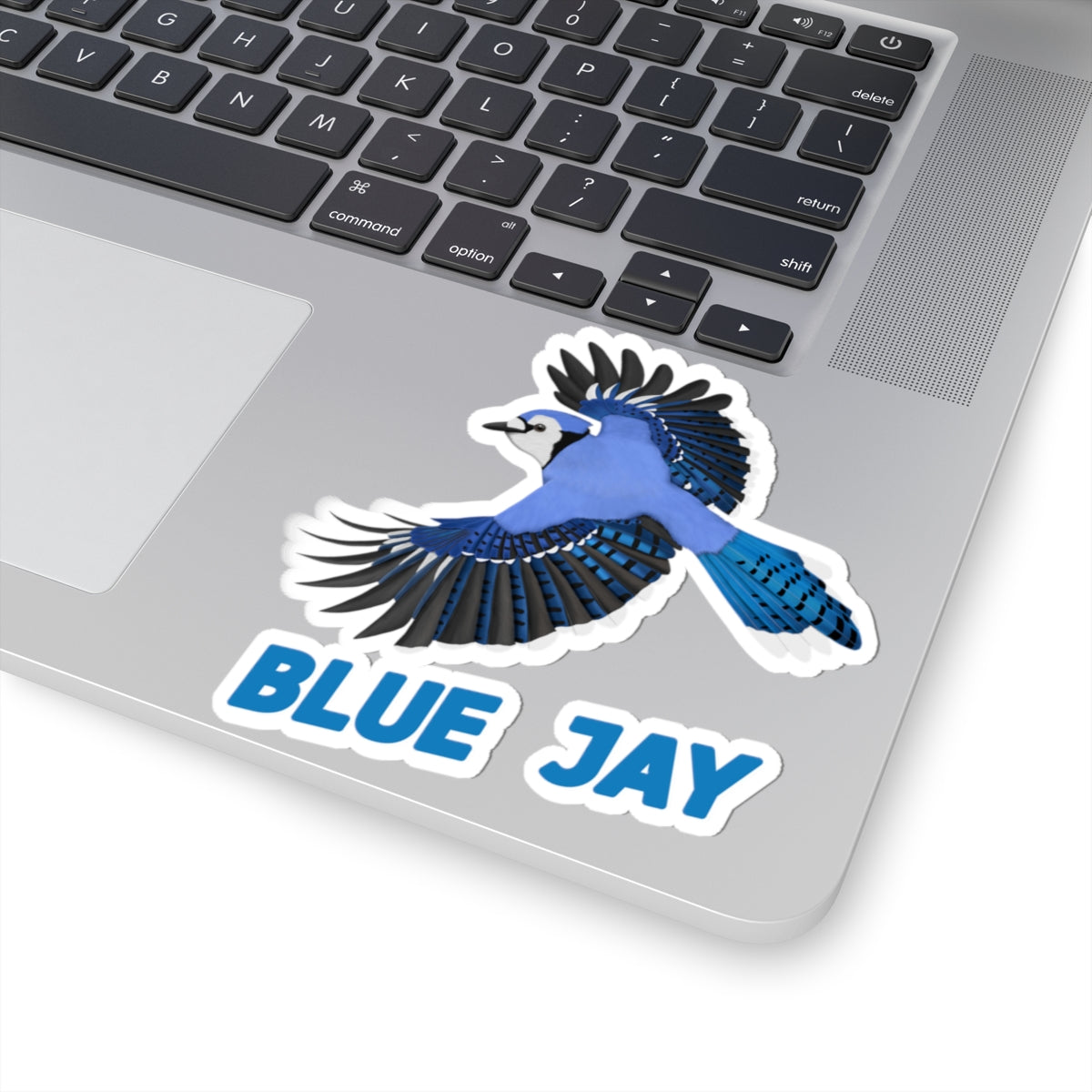 Blue Jay Sticker Bird Lover & Bird Watcher