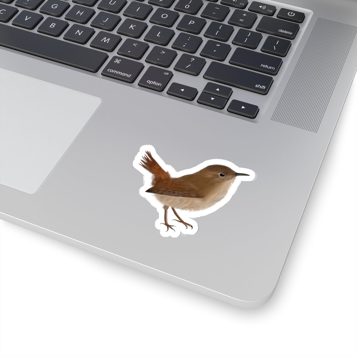 Wren Bird Kiss-Cut Sticker - jz.birds