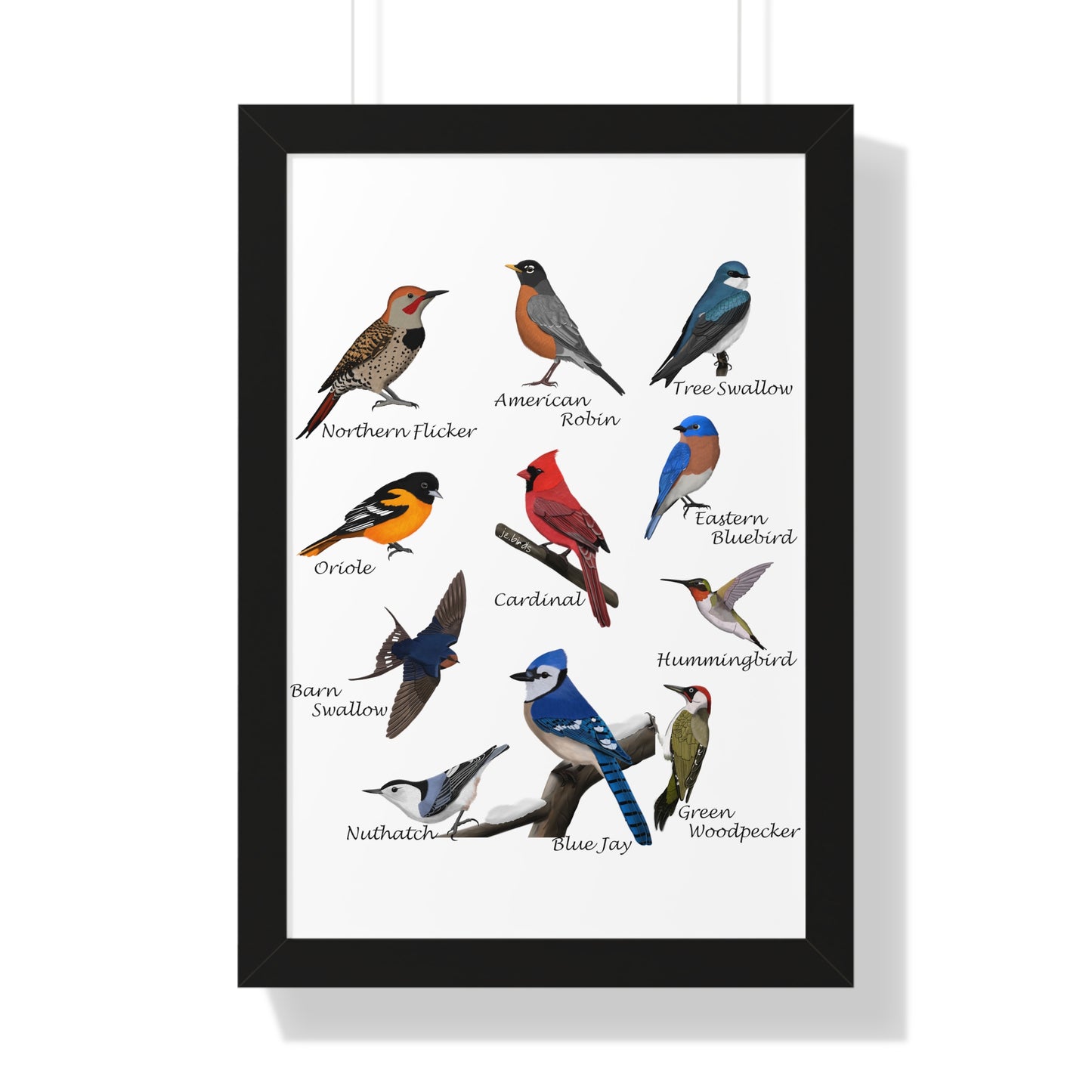 Blue Jay, Cardinal, Nuthatch, Oriole and Robin Framed Poster – Home & Living style