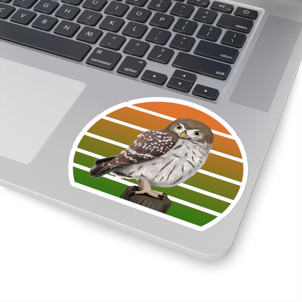 Little Owl Bird Sticker