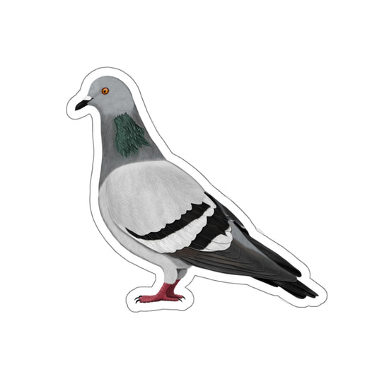 Pigeon Bird Kiss-Cut Stickers