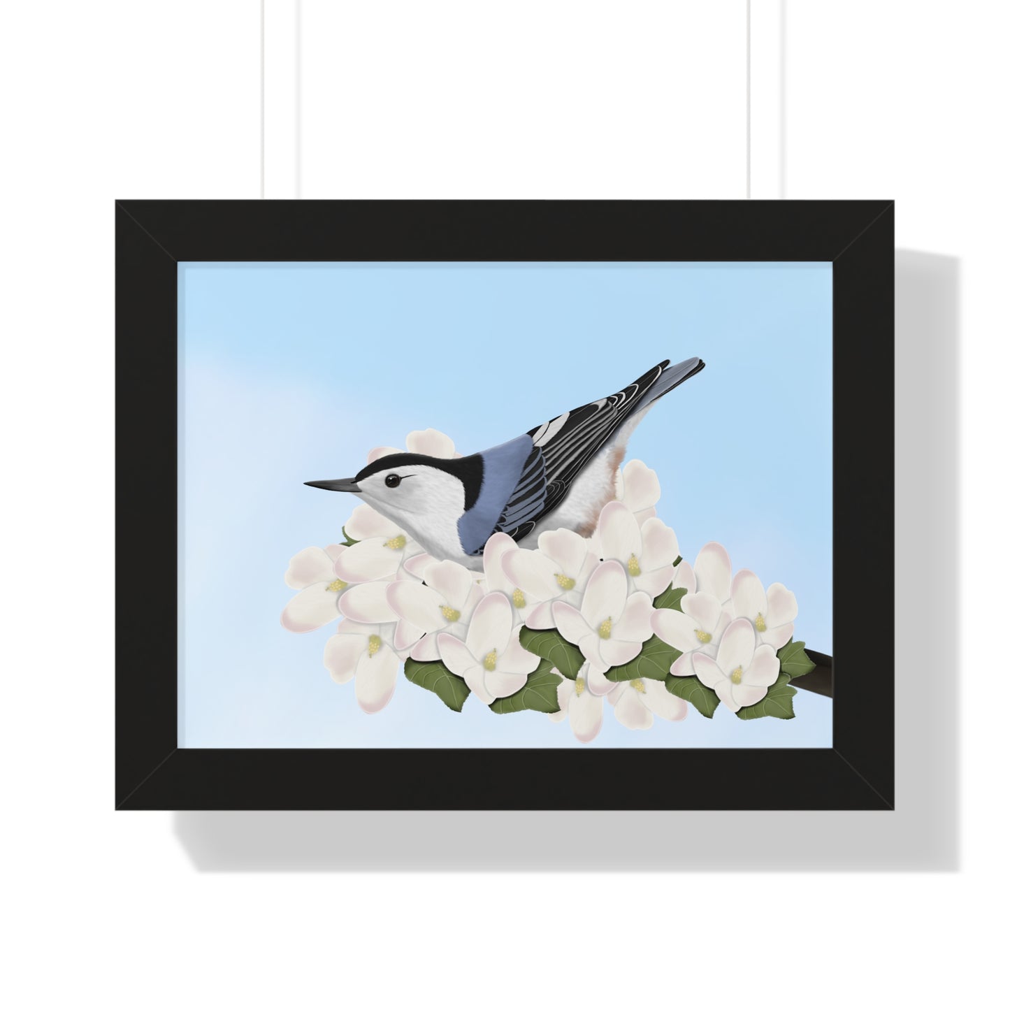 Nuthatch Framed Poster in Black