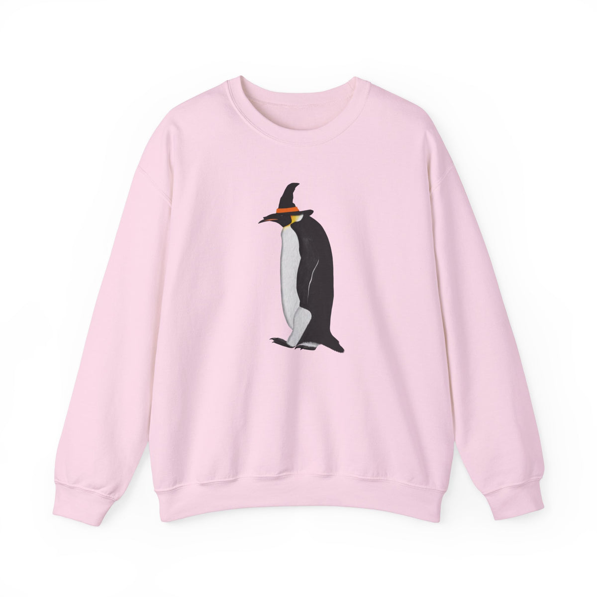 Penguin Halloween Birds Witch Birdwatcher Sweatshirt in Ash