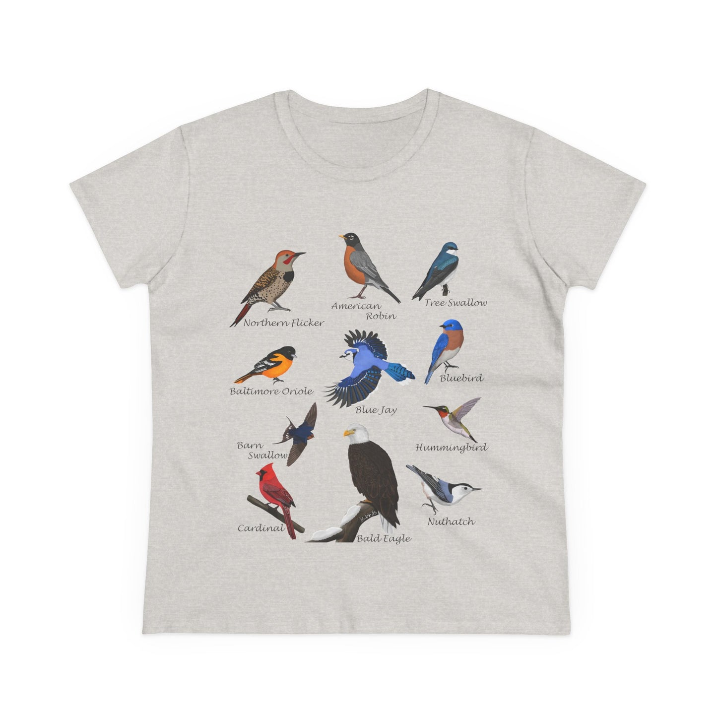 Birds of America Blue Jay Cardinal Bald Eagle Oriole Bird Design for Birdwatchers and Bird Lovers Women's T-Shirt