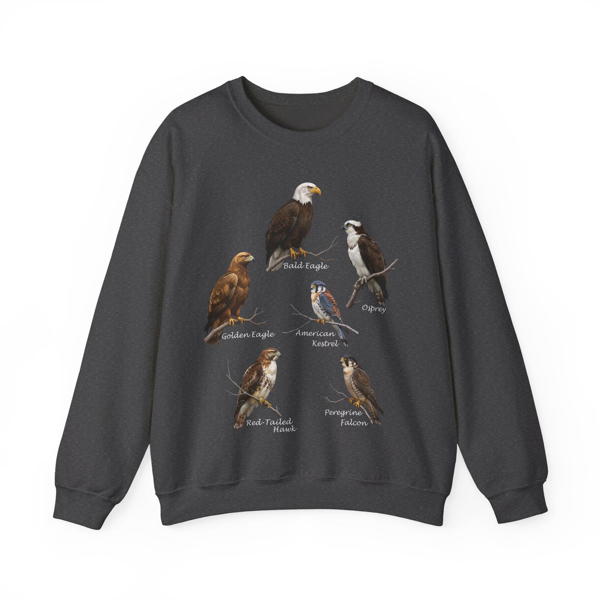 Falcon, Eagle and Hawk Sweatshirt in Black