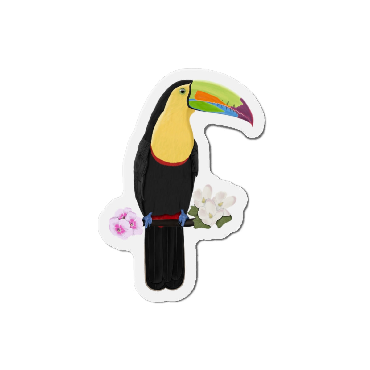 Keel-Billed Toucan Bird Magnet