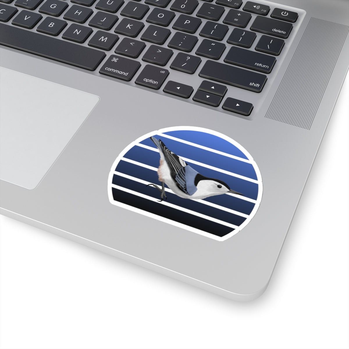 Nuthatch Bird Sticker