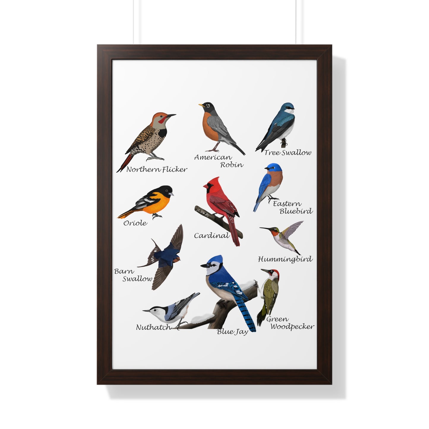 Backyard Birds Blue Jay Robin Cardinal Nuthatch Oriole Framed Poster –