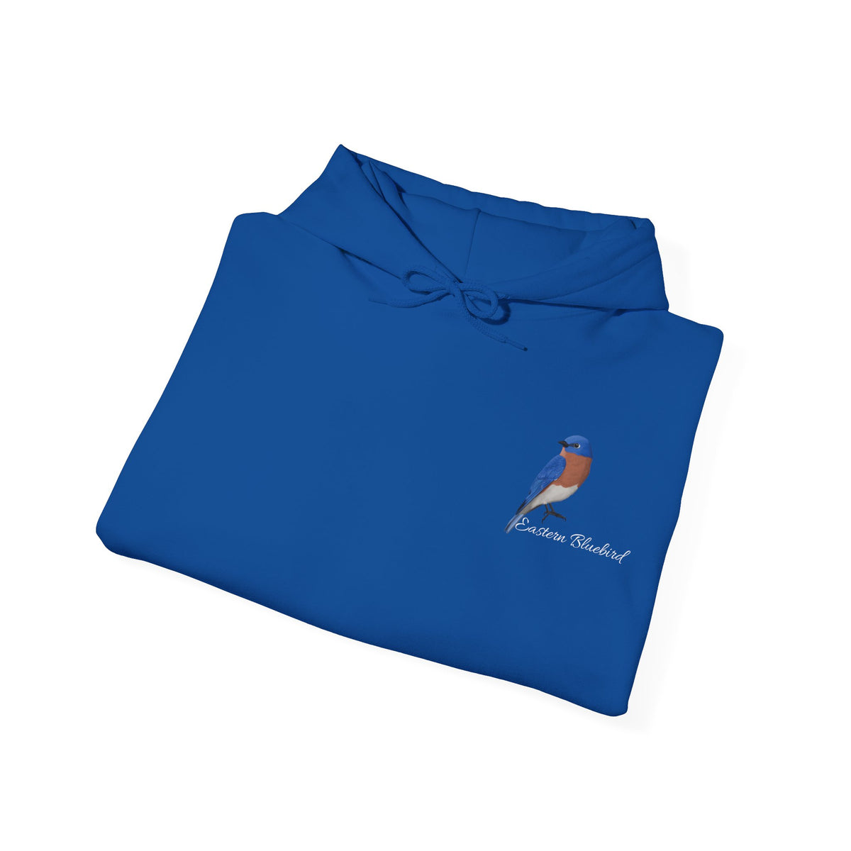 Eastern Bluebird Birding Birdwatching Bird Hoodie