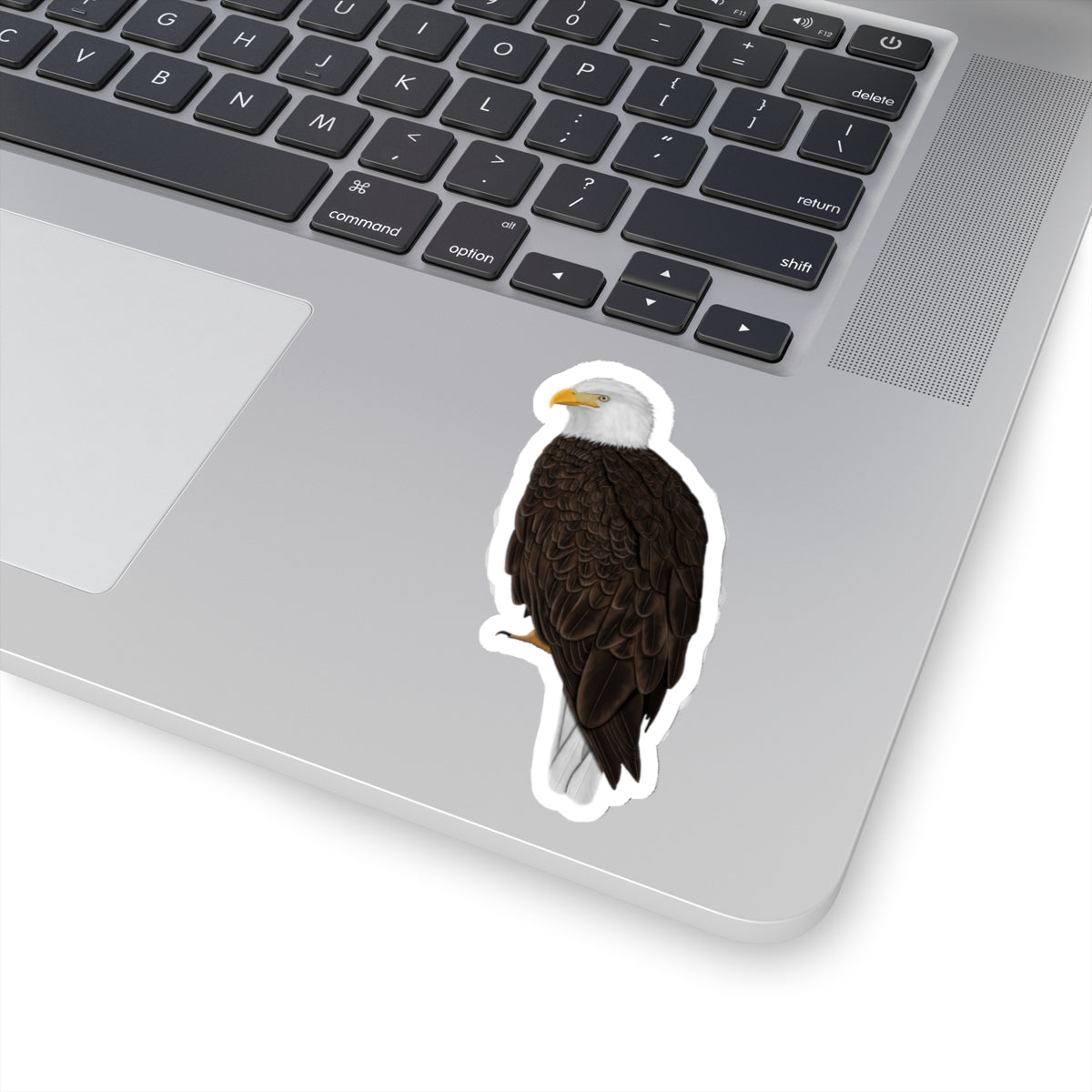 Bald Eagle Bird Kiss-Cut Sticker - jz.birds