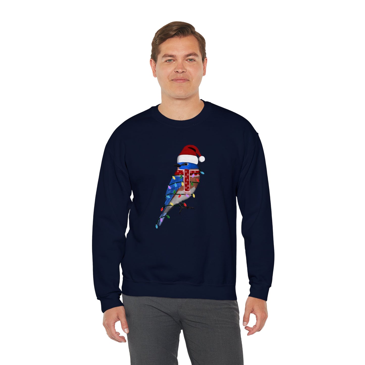 Bluebird with Fairy Lights Santa Claus Christmas Bird Sweatshirt