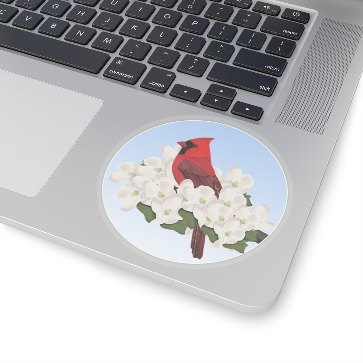 Cardinal Paper products – Home & Living and Kiss cut style