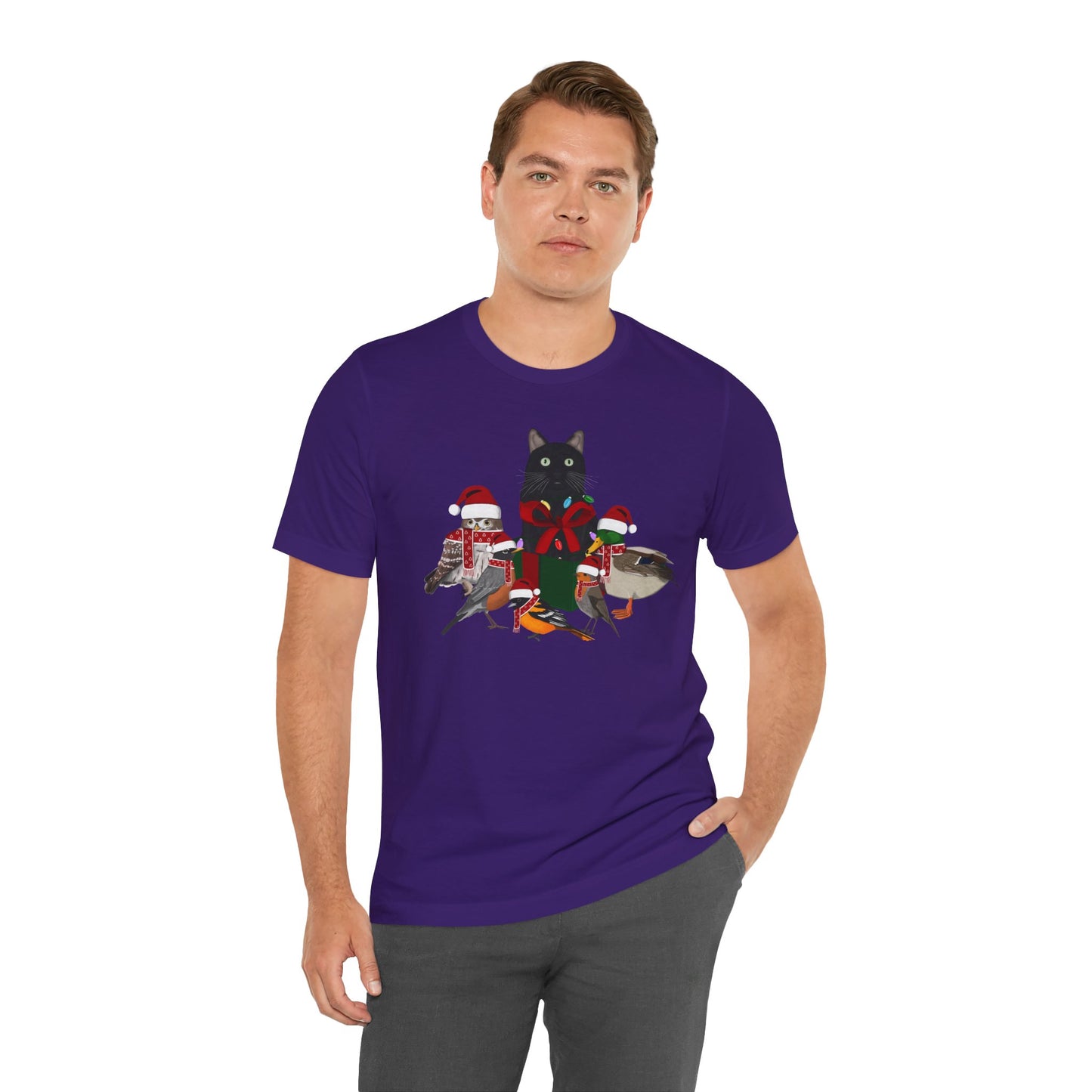 Robin Mallard Oriole Owl with Cat in a Box and Fairy Lights Christmas Bird T-Shirt