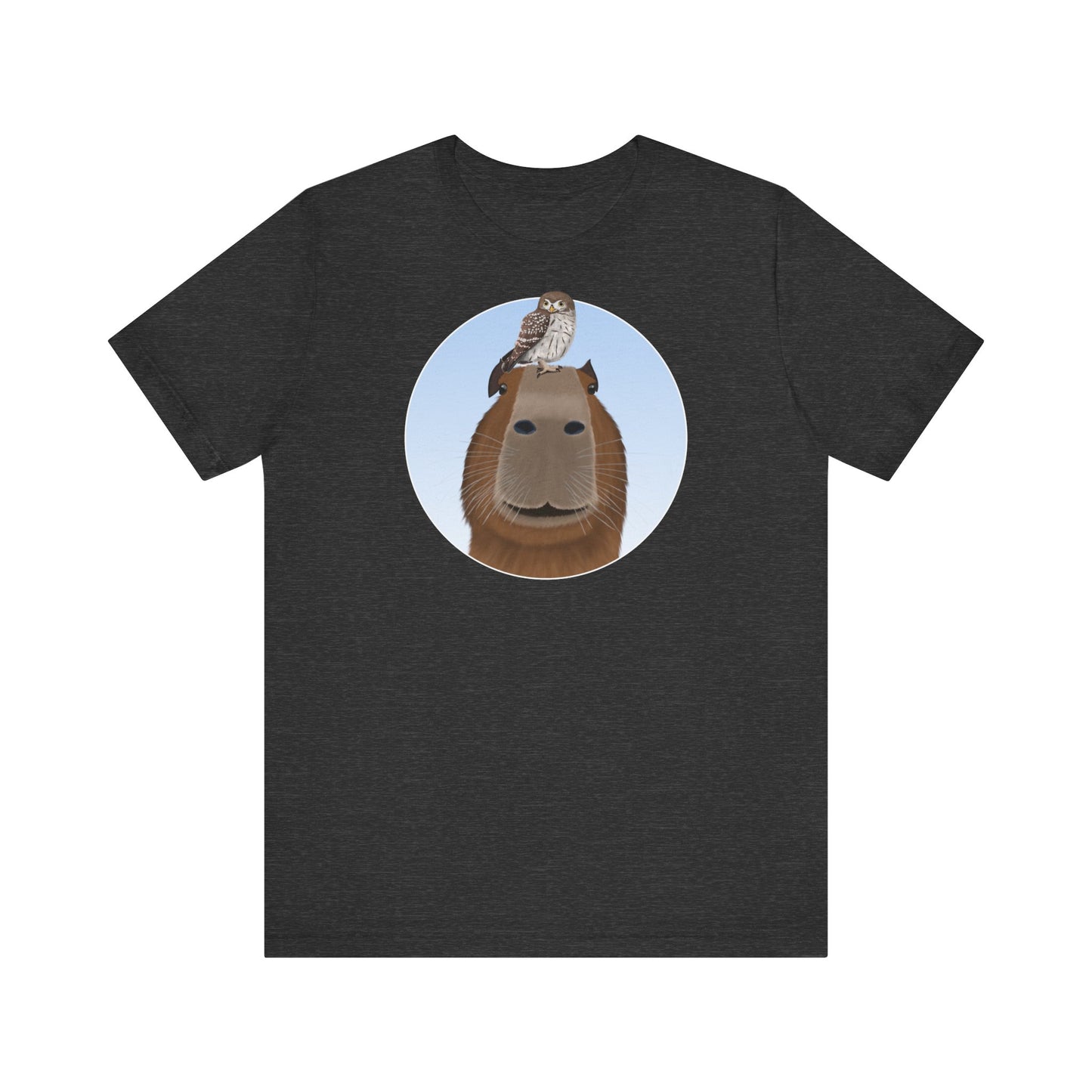 Capybara mit Eule T-Shirt bird graphic tee Hintergrund