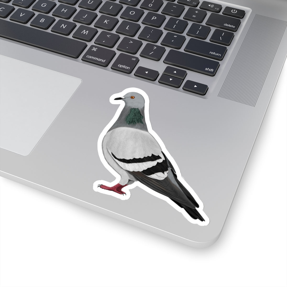Pigeon Bird Kiss-Cut Stickers - jz.birds
