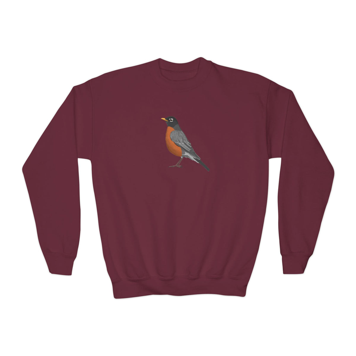 American Robin Youth Sweatshirts – Casual Kids Clothing and Cool Weather Outfit style