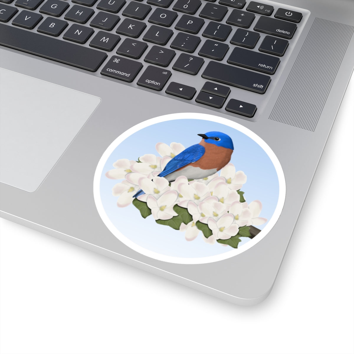 Bluebird Spring Apple Blossoms Bird Sticker – Home & Living, Paper products