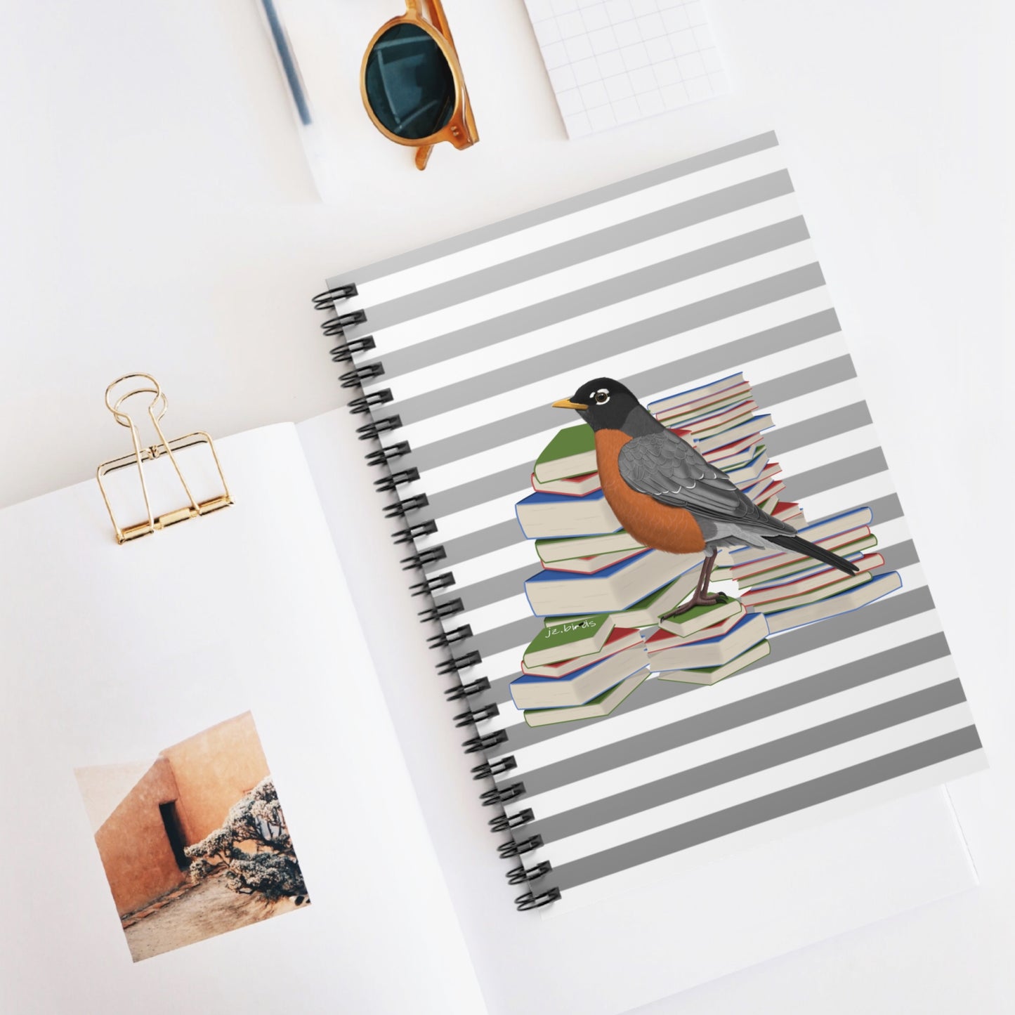 Robin Bird with Books Birdlover Bookworm Spiral Notebook Ruled Line 6" x 8"