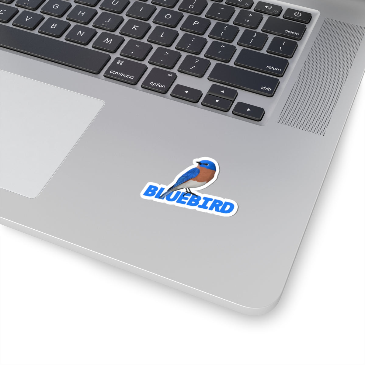 Bluebird Sticker Bird Lover & Bird Watcher