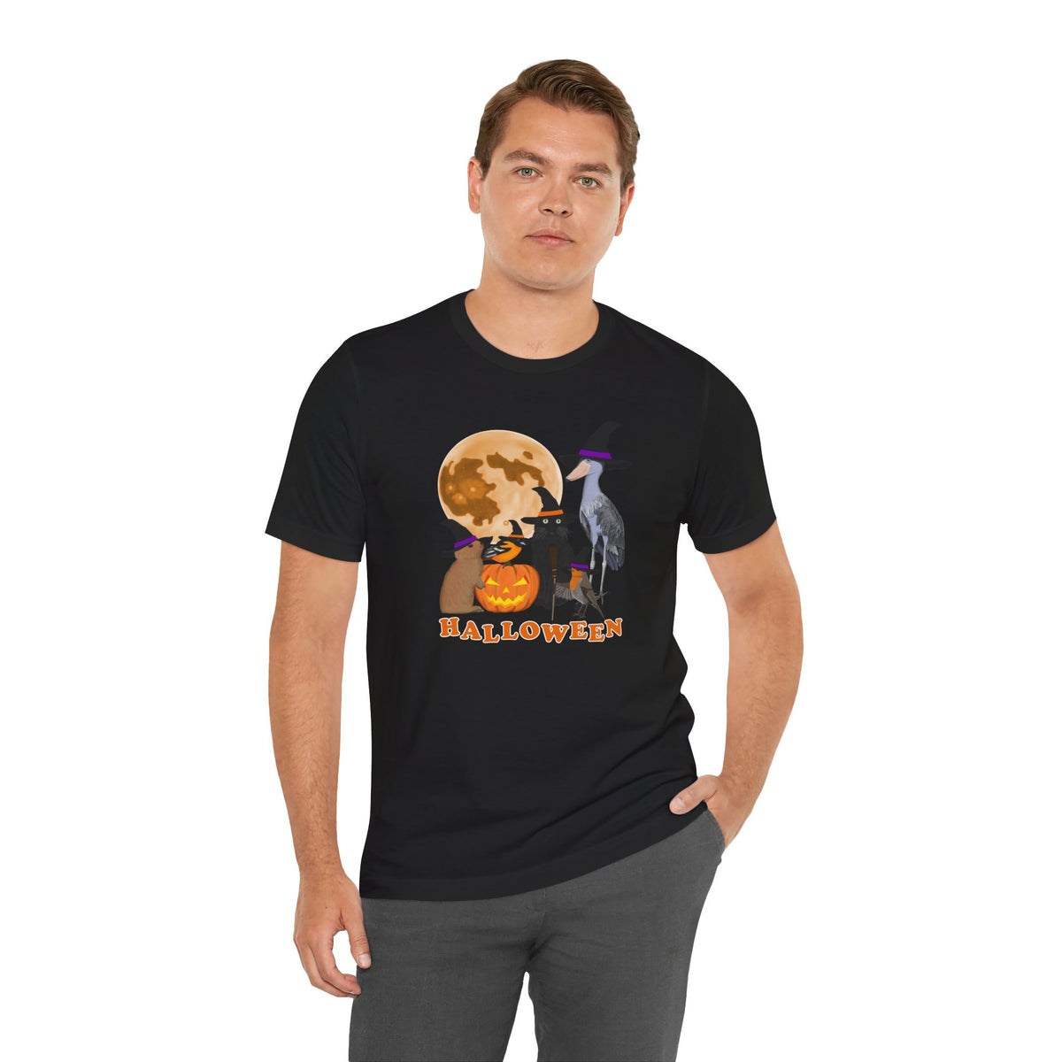 Baltimore Oriole Robin Shoebill with Cat and Bunny Halloween Bird T-Shirt