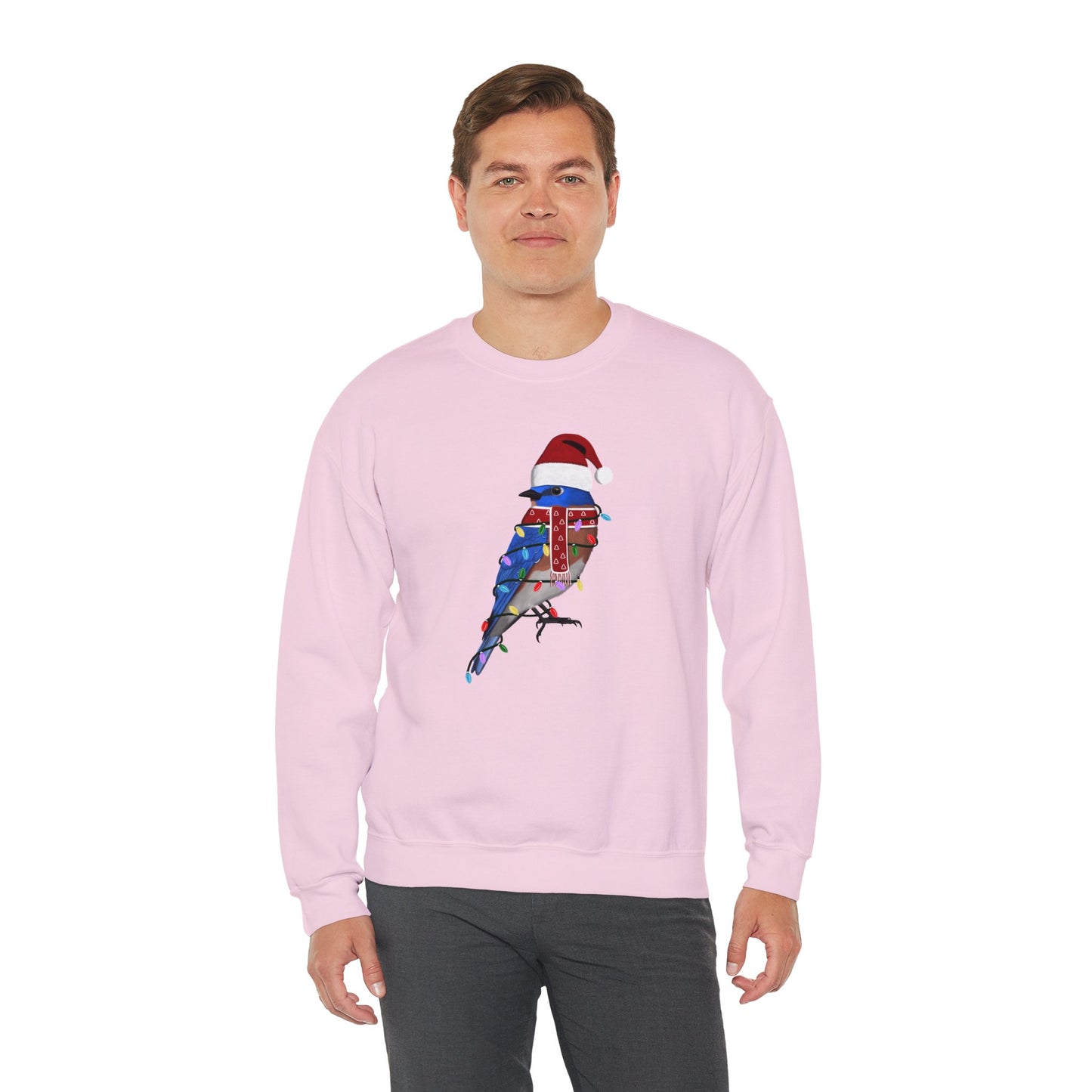 Bluebird with Fairy Lights Santa Claus Christmas Bird Sweatshirt