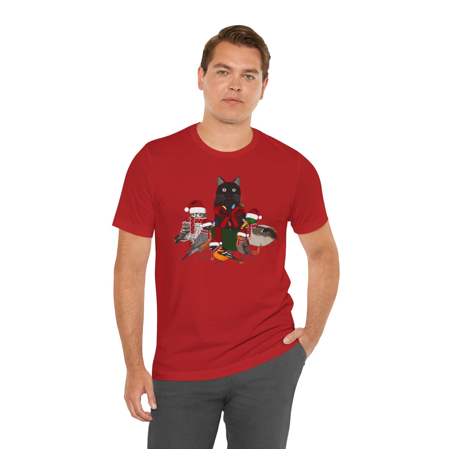 Robin Mallard Oriole Owl with Cat in a Box and Fairy Lights Christmas Bird T-Shirt