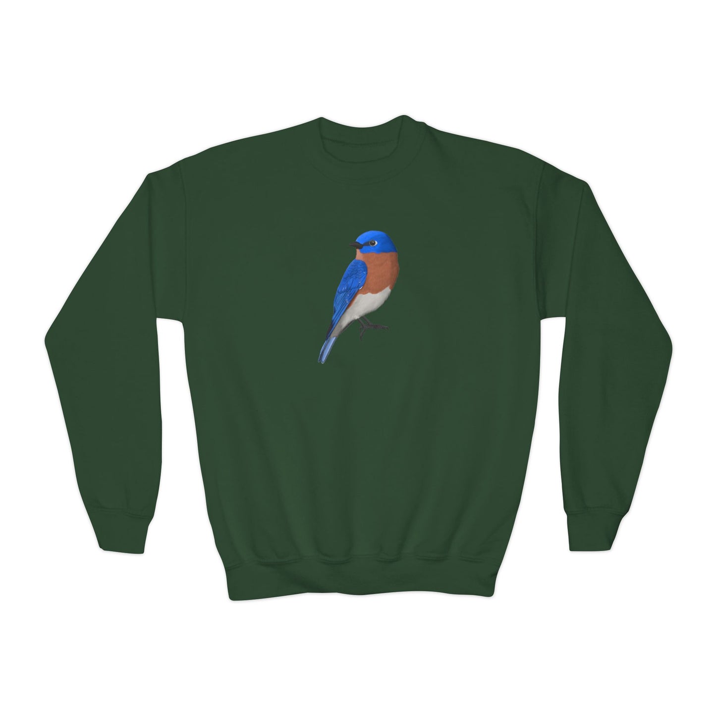Bluebird Bird Birdwatching Youth Crewneck Sweatshirt – Casual Kids Clothing, Sweatshirts