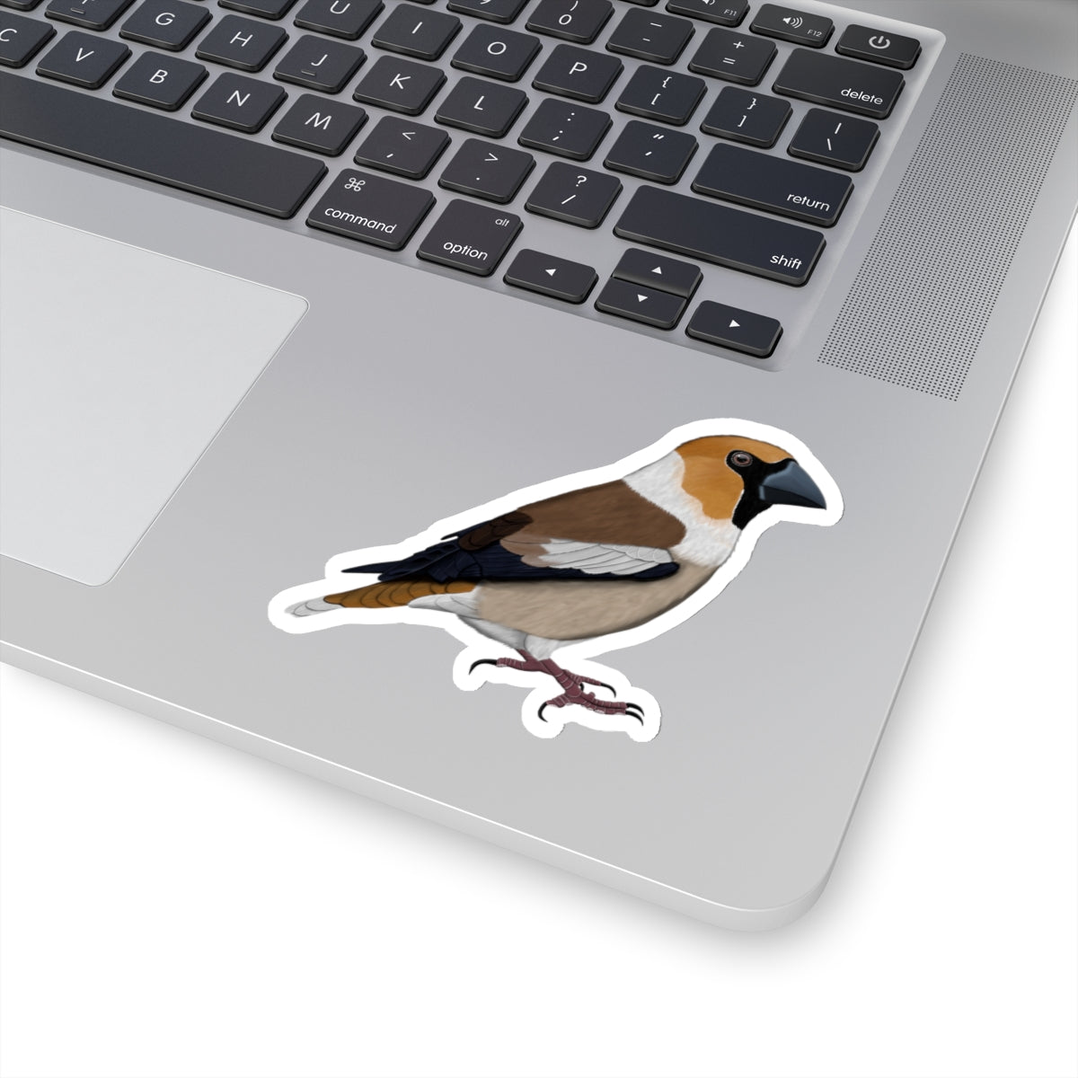 Hawfinch Bird Kiss-Cut Sticker - jz.birds