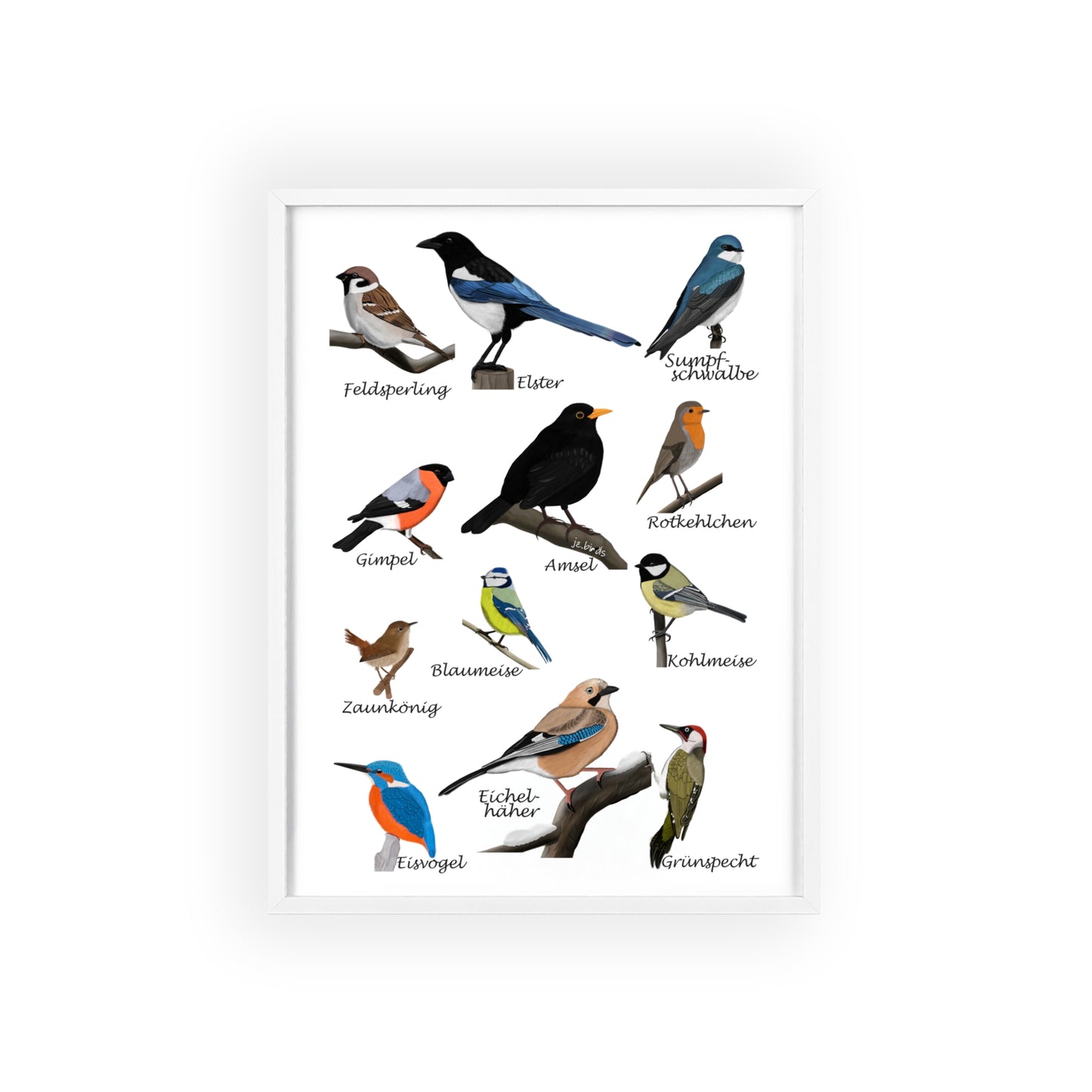 Vogel Poster im Holzrahmen - Gartenvögel Amsel Rotkehlchen Blaumeise