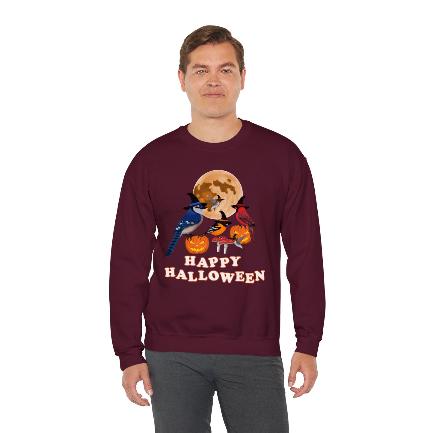 Blue Jay Cardinal Oriole Hummingbird Halloween Birds Witch Birdwatcher Sweatshirt