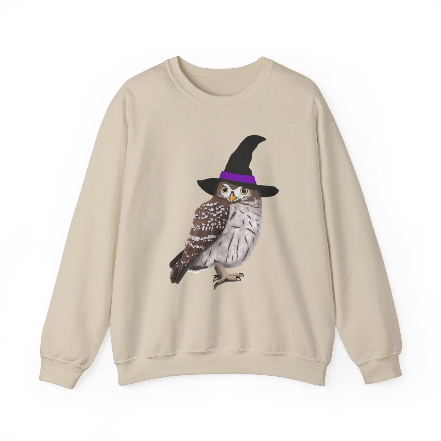 Owl Sweatshirt – Animal Lover Gift and Avian Enthusiast style