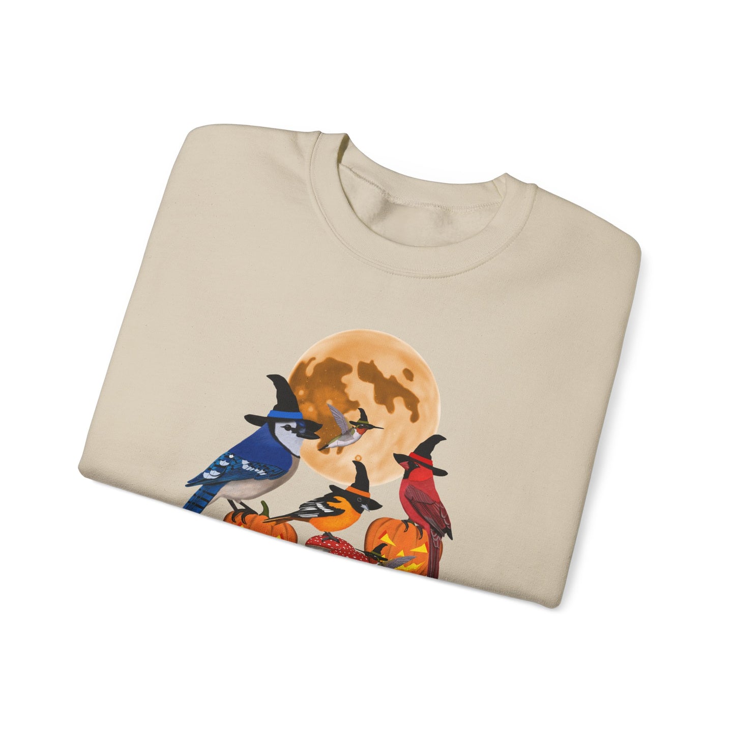 Blue Jay Cardinal Oriole Hummingbird Halloween Birds Witch Birdwatcher Sweatshirt