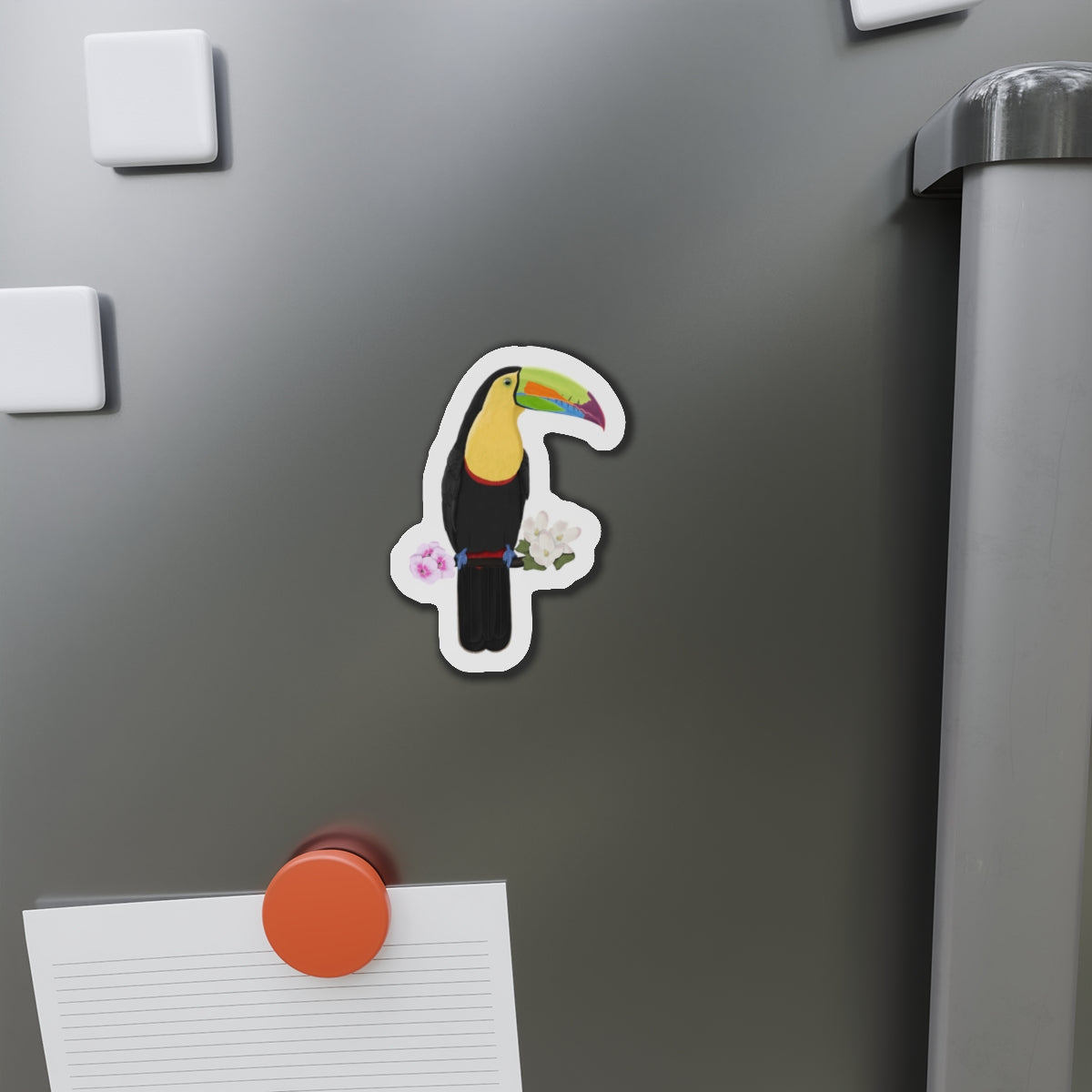 Keel-Billed Toucan Bird Magnet