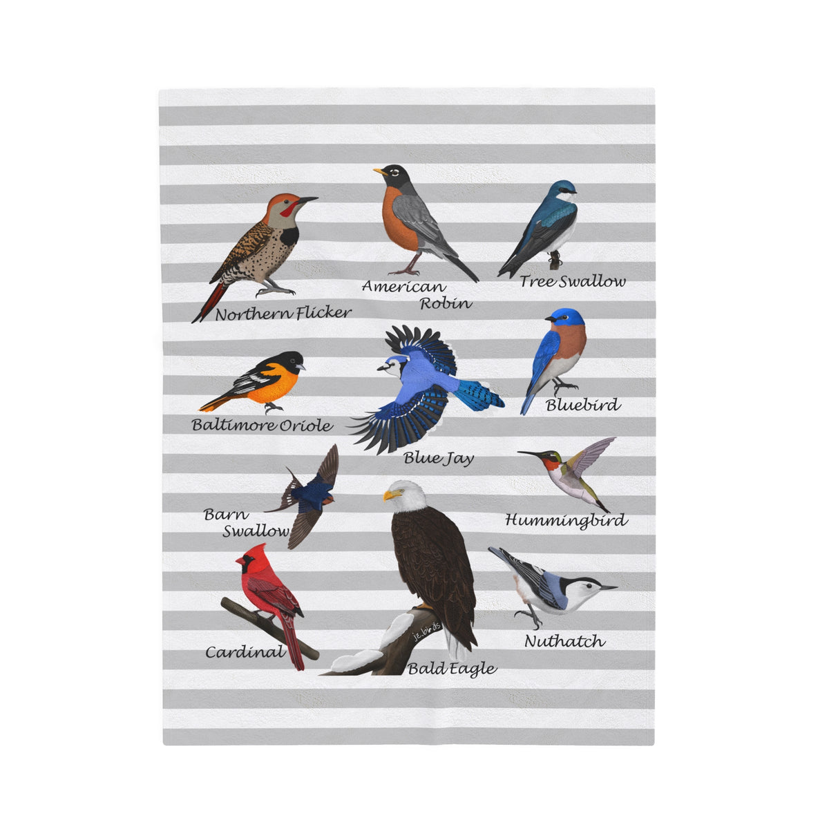 Hummingbird, Bluebird, Blue Jay, Cardinal and Robin Sofa Blankets – All Over Print, AOP