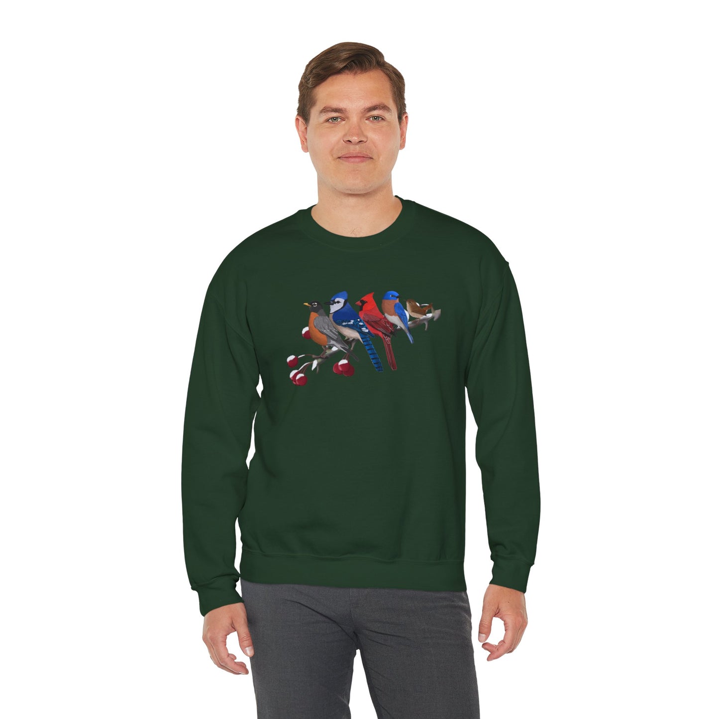 Backyard Birds Robin Blue Jay Cardinal Bluebird Wren Birdwatcher Christmas Bird Sweatshirt