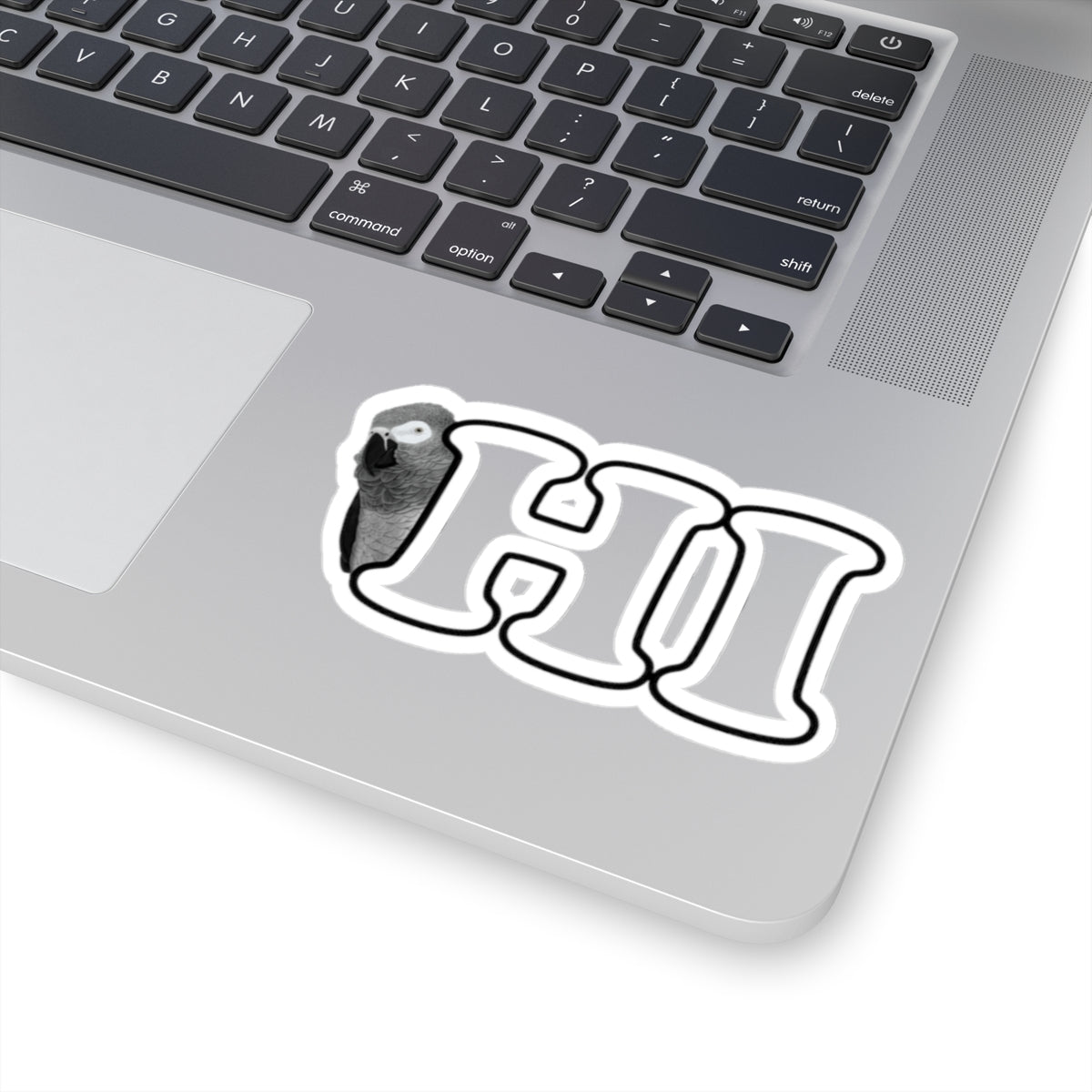 Grey Parrot Hi Bird Kiss-Cut Sticker