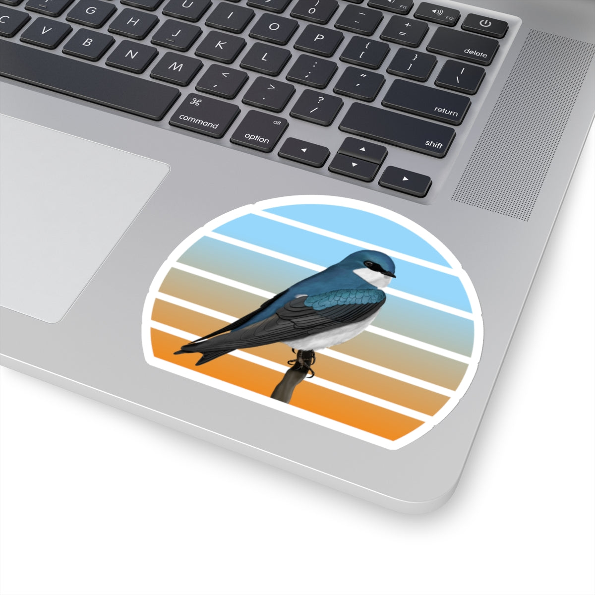 Tree Swallow Bird Sticker – Home & Living, Paper products