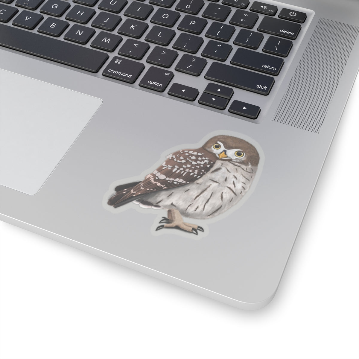 Owl Bird Kiss-Cut Sticker - jz.birds